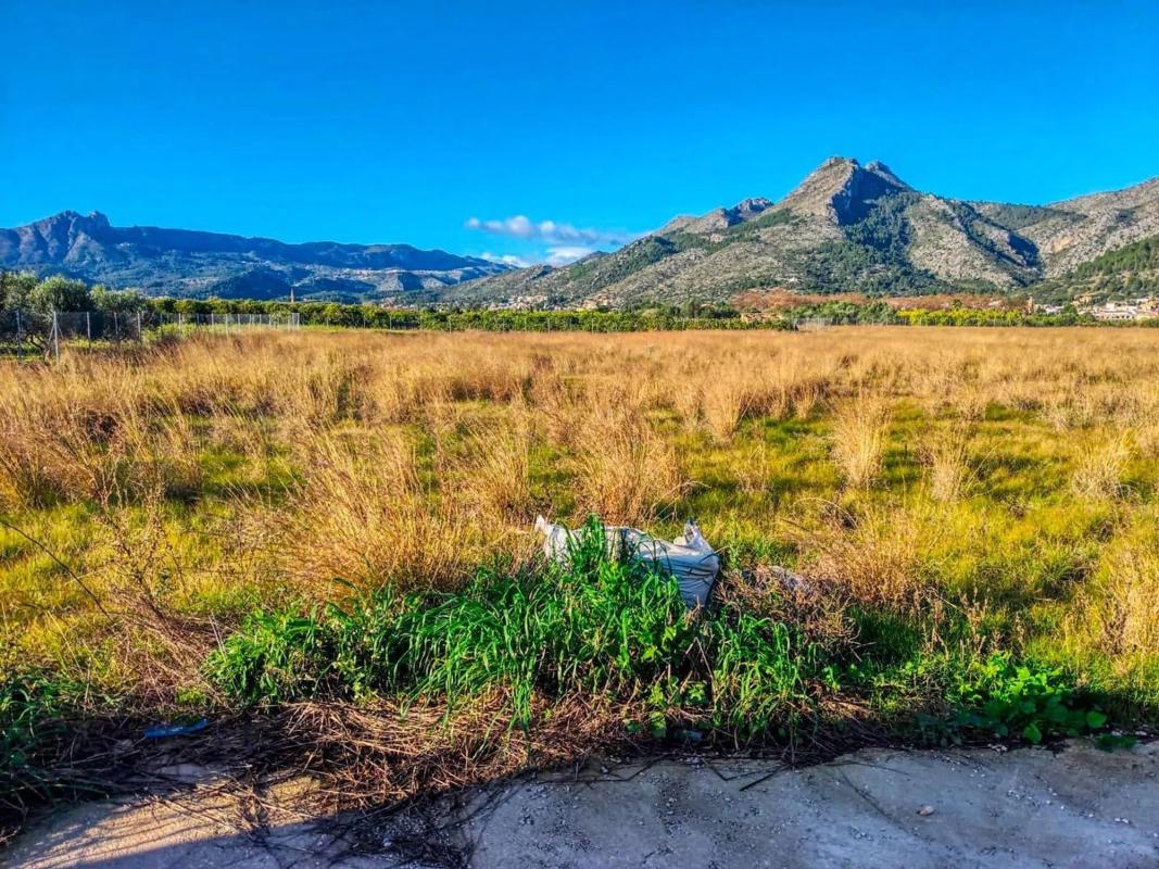 Land for sale in Sagra, Alicante photo 5