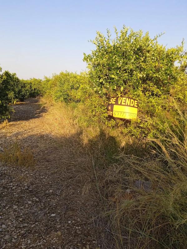 Terreno en venta en Sanet y Negrals, Alicante photo 4