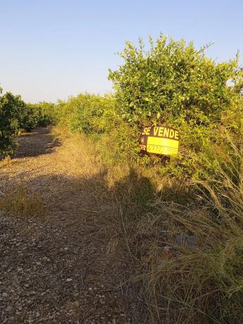 Terreno en calle Mestre Serrano, 5171 photo 4
