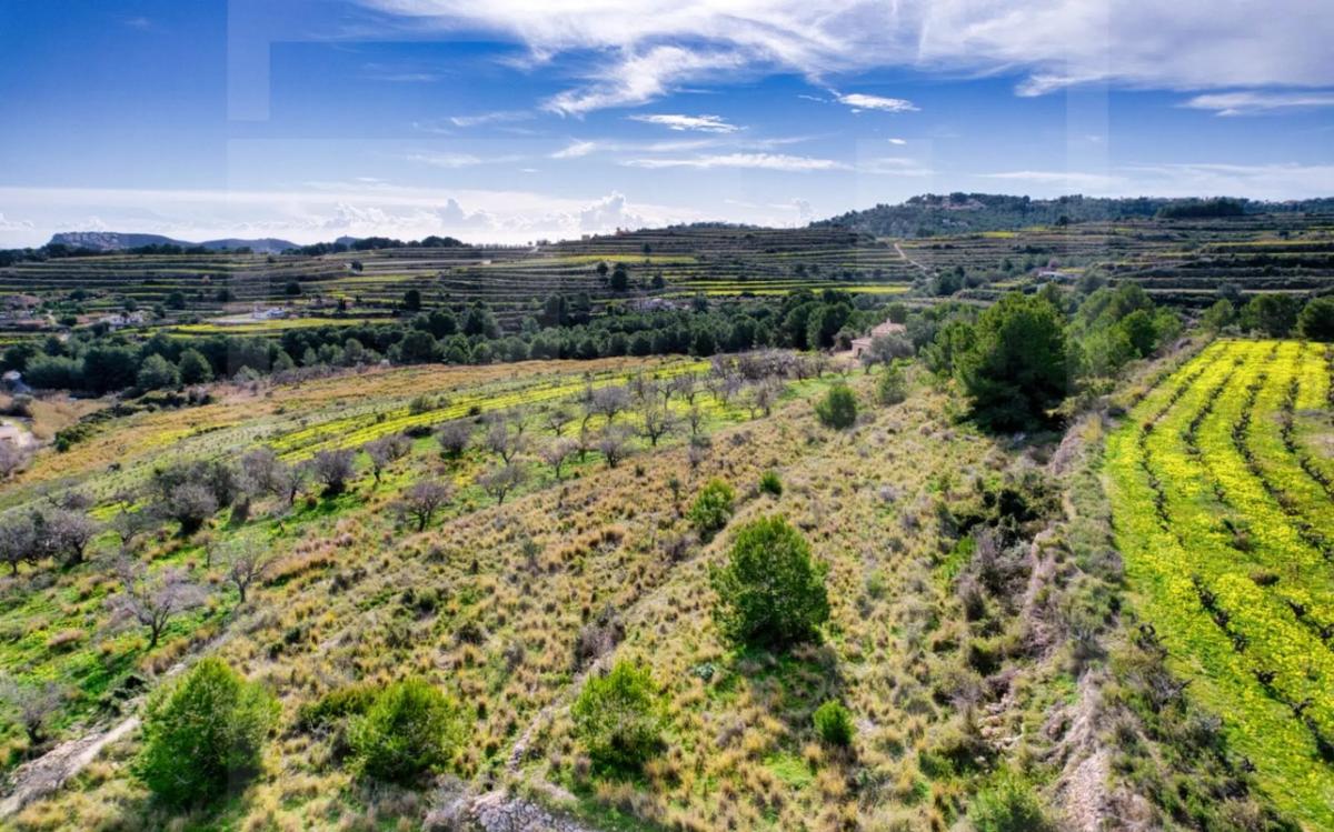 Land for sale in Teulada, Alicante photo 4