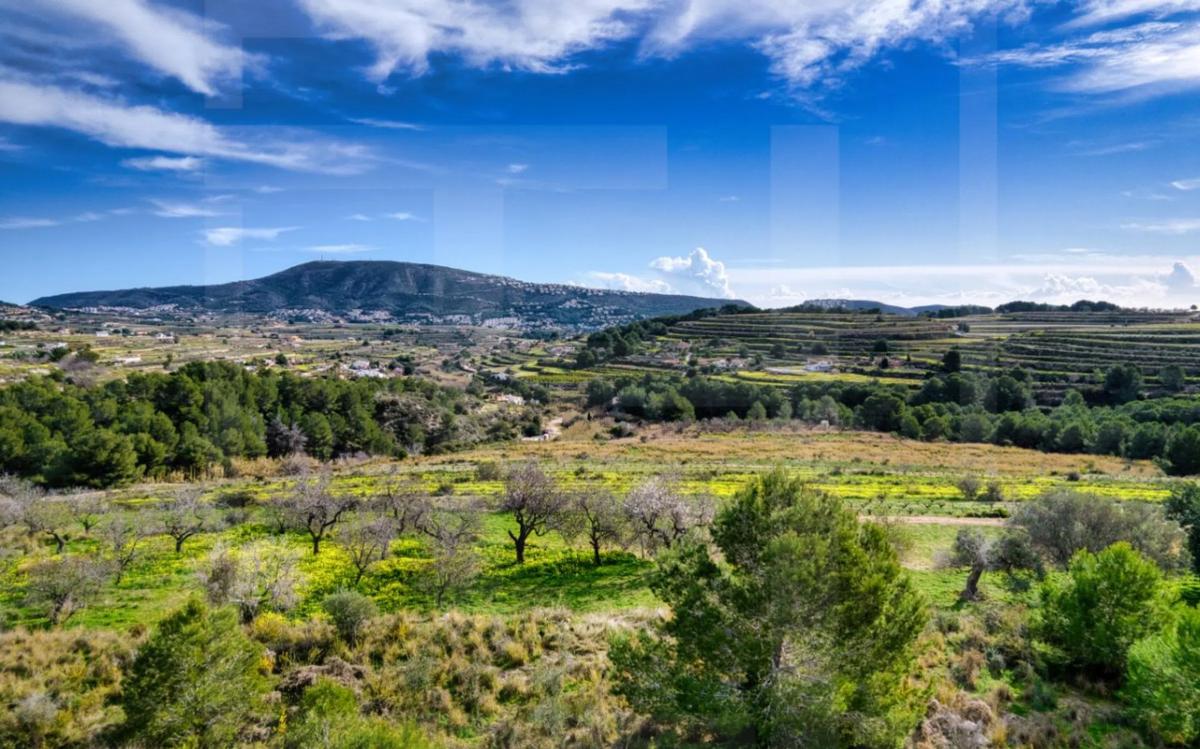 Land for sale in Teulada, Alicante photo 5