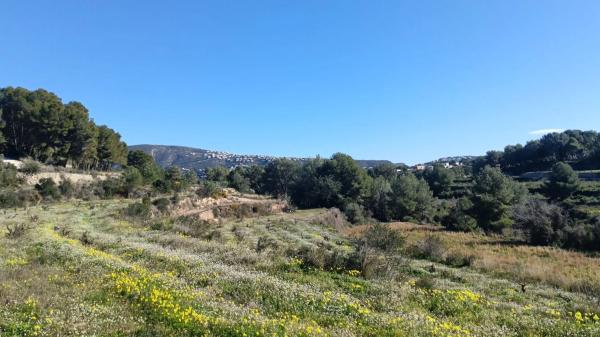 Terreno en camino Pas, 46 photo 1