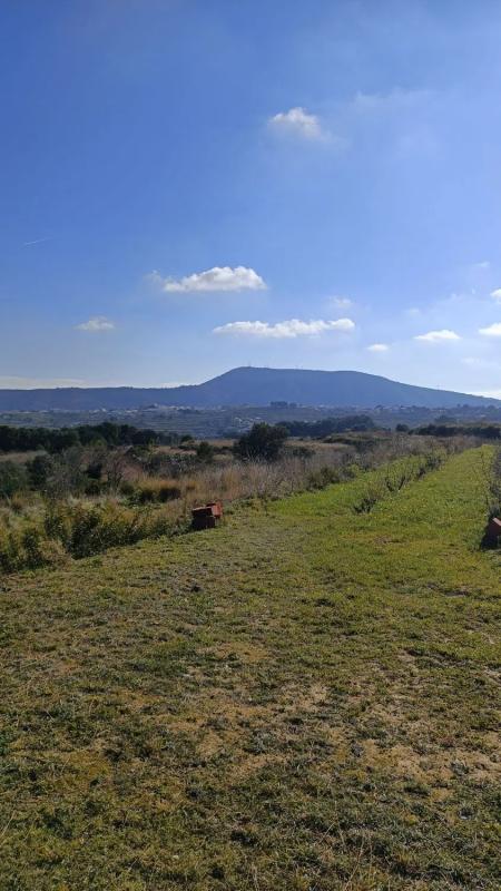 Działka na sprzedaż w Teulada, Alicante photo 3