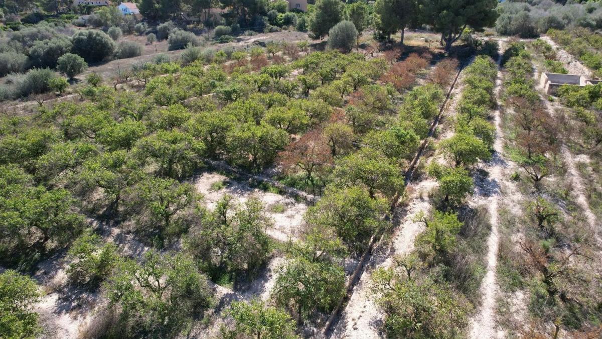 Terreno en venta en Alfaz del Pi, Alicante photo 2