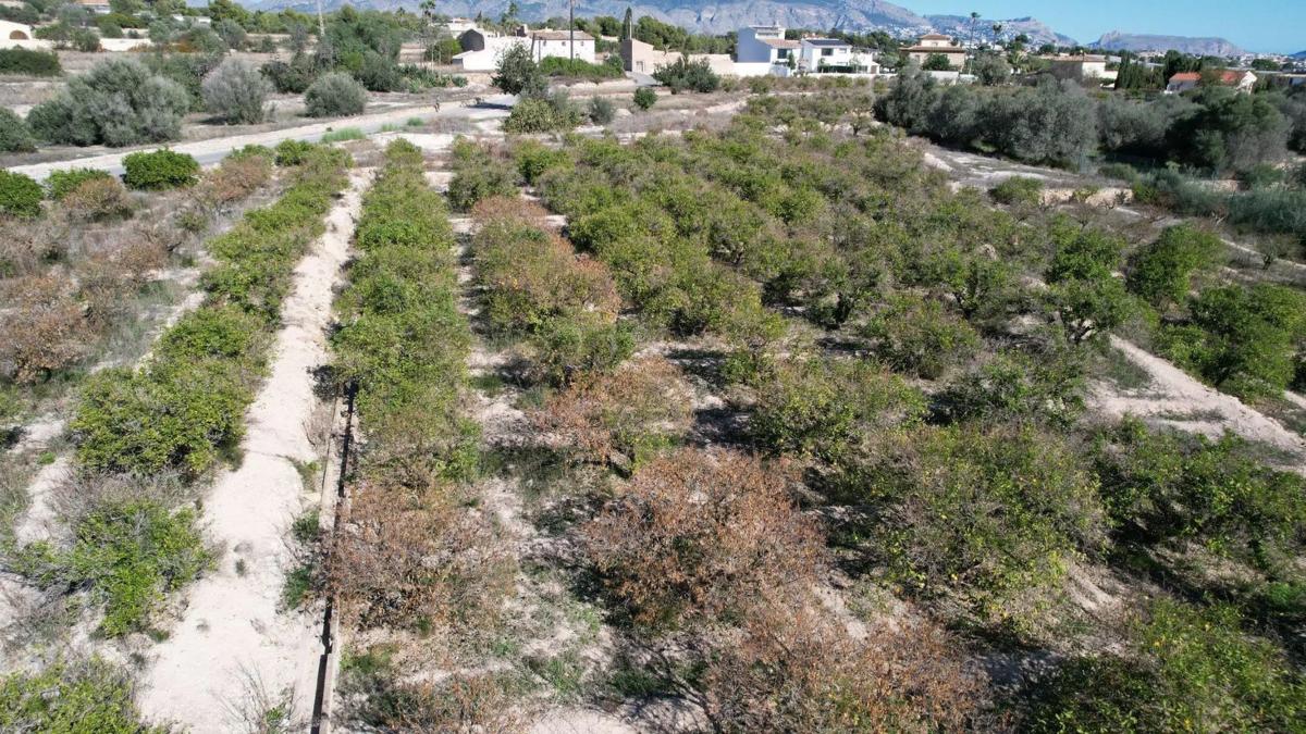 Terreno en venta en Alfaz del Pi, Alicante photo 5