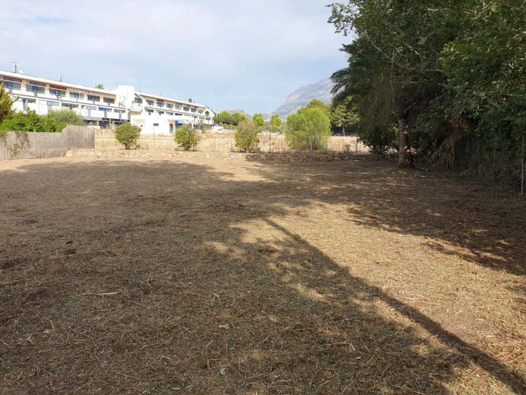 Terreno en venta en Alfaz del Pi, Alicante photo 4