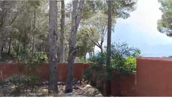 Terreno en calle Lotería, 1 thumbnail 2