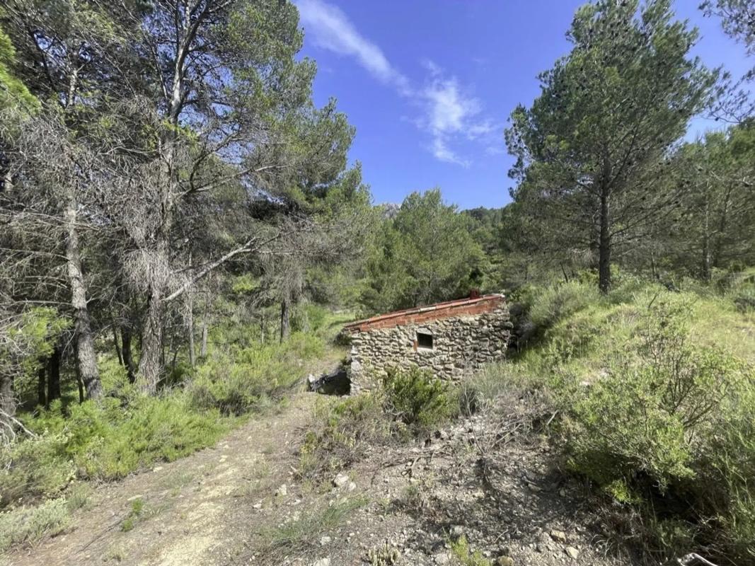 Land for sale in Confrides, Alicante photo 2
