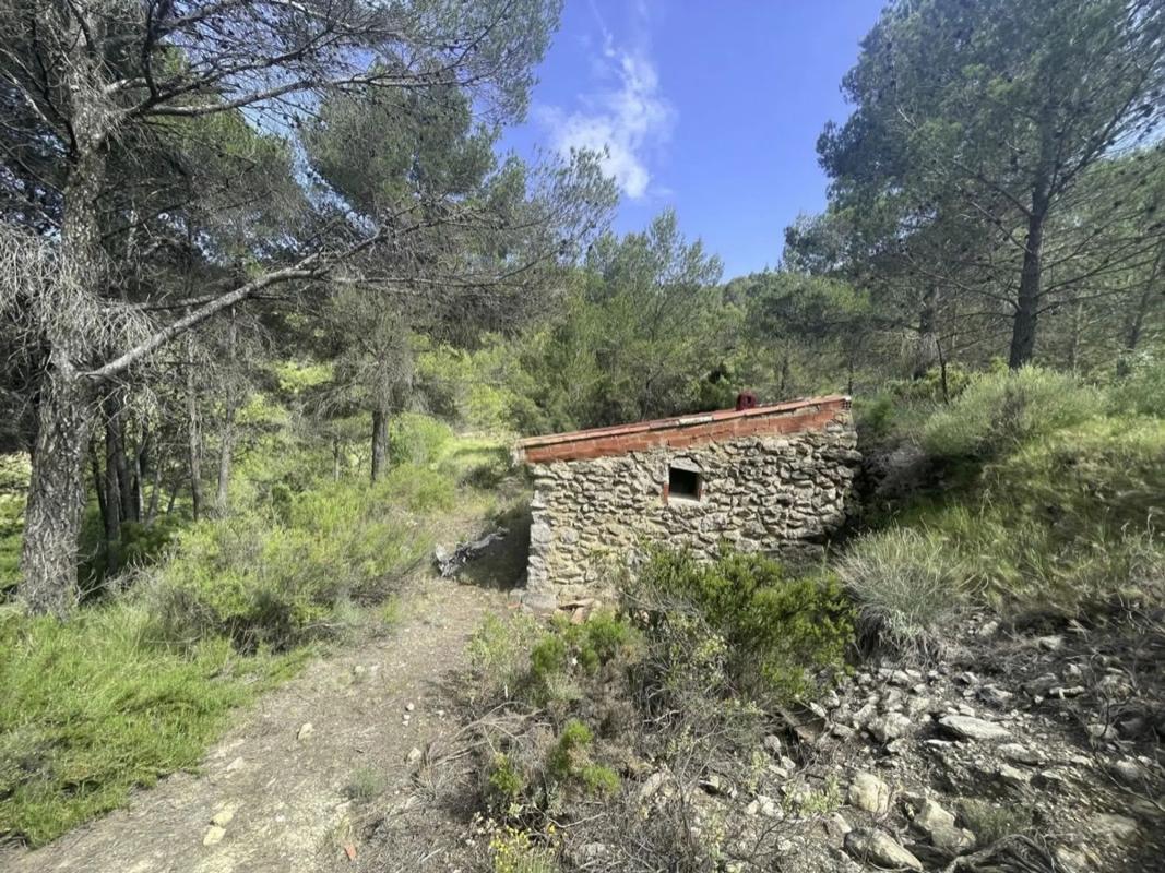 Land for sale in Confrides, Alicante photo 3