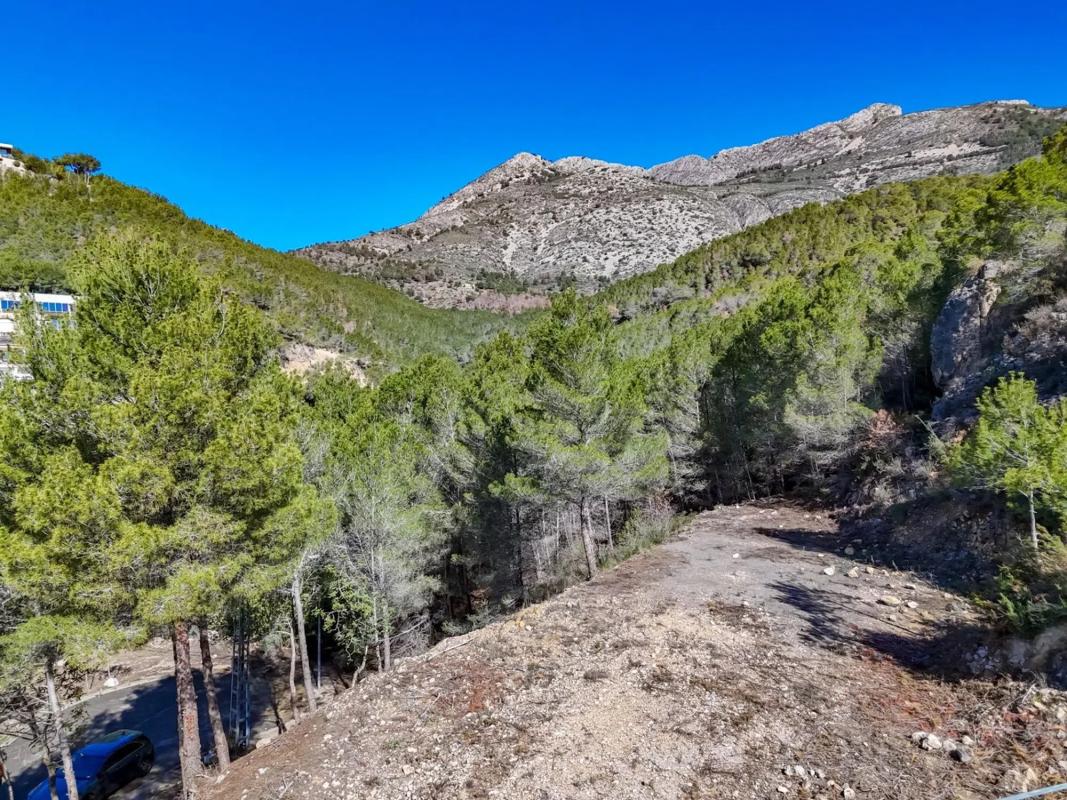 Działka na sprzedaż w Callosa d'En Sarria, Alicante photo 5