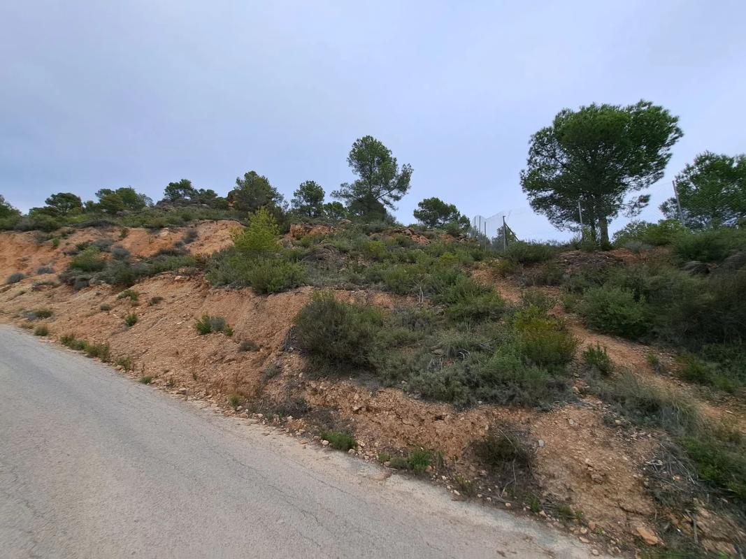 Terreno en venta en Finestrat, Alicante photo 3