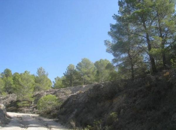 Terreno en Anton photo 1