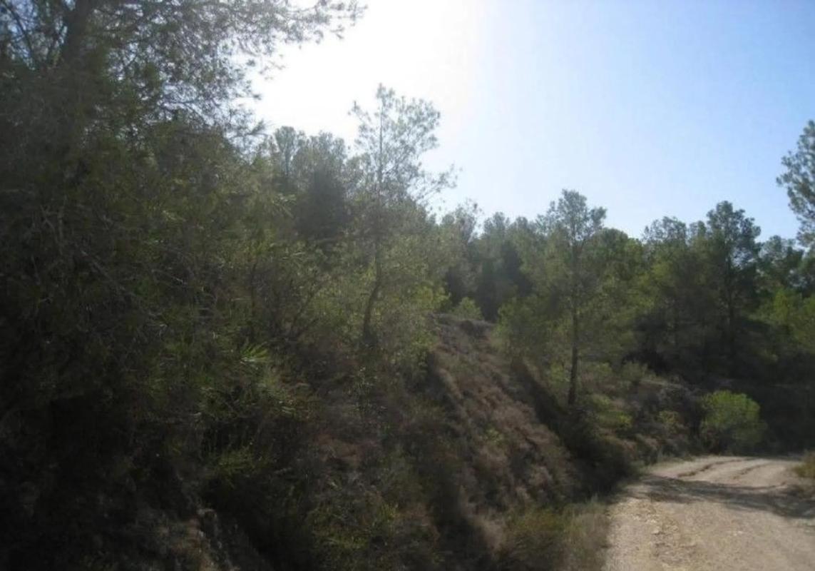 Terreno en venta en Finestrat, Alicante photo 3
