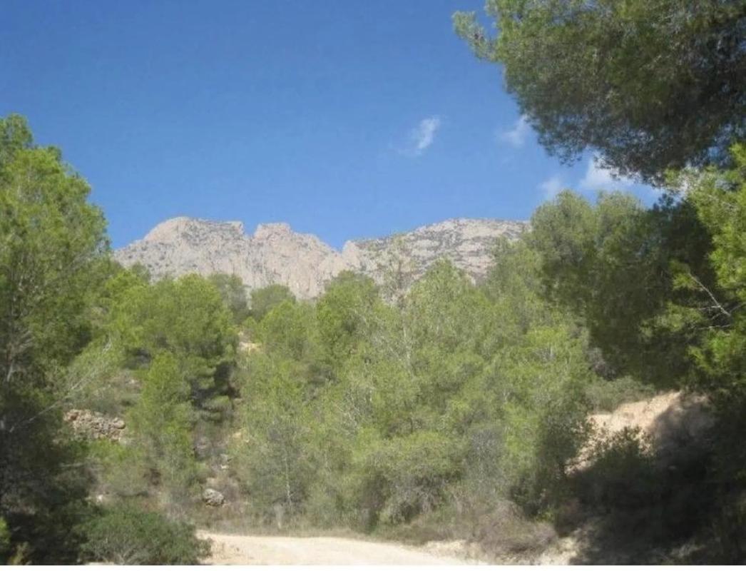 Terreno en venta en Finestrat, Alicante photo 4