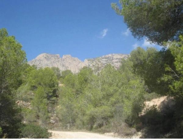 Terreno en Anton photo 4