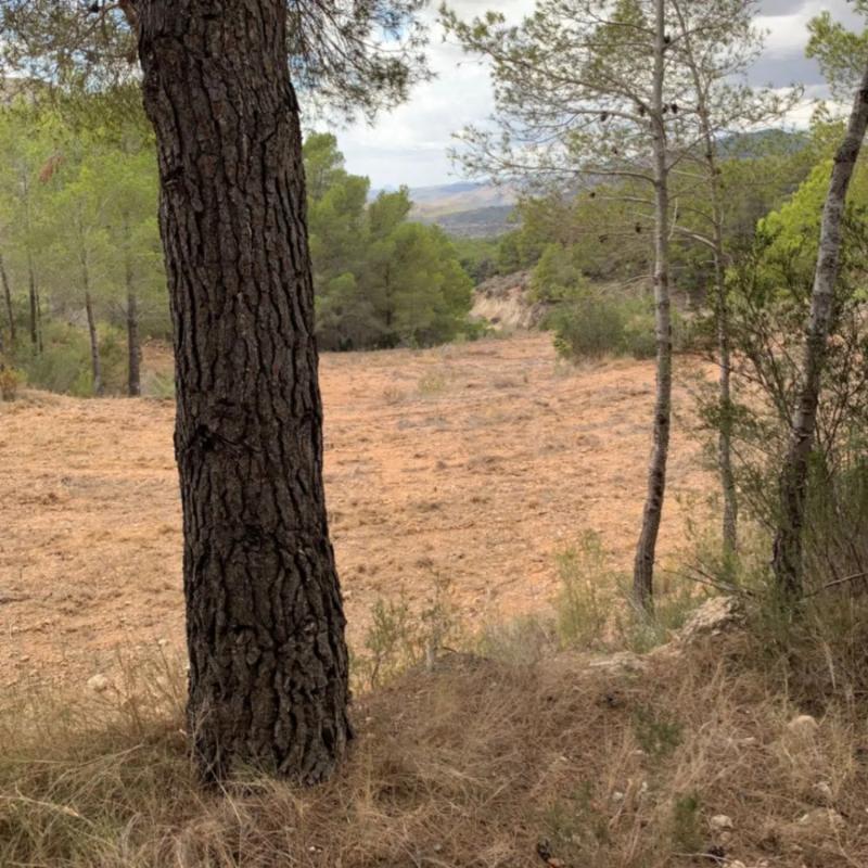 Terreno en venta en Finestrat, Alicante photo 1