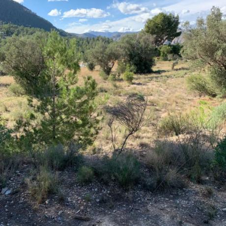 Terreno en Finestrat Pueblo photo 2
