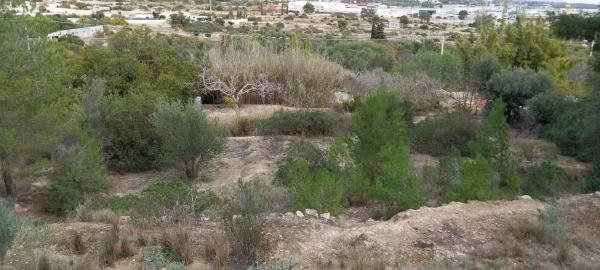 Terreno en Platja de Torres photo 1