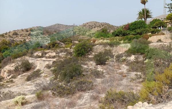 Terreno en Partida Alcocons photo 2
