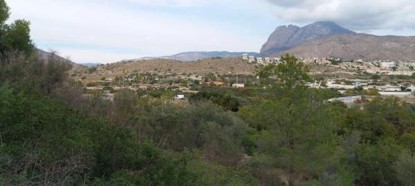 Terreno en Platja de Torres thumbnail 1