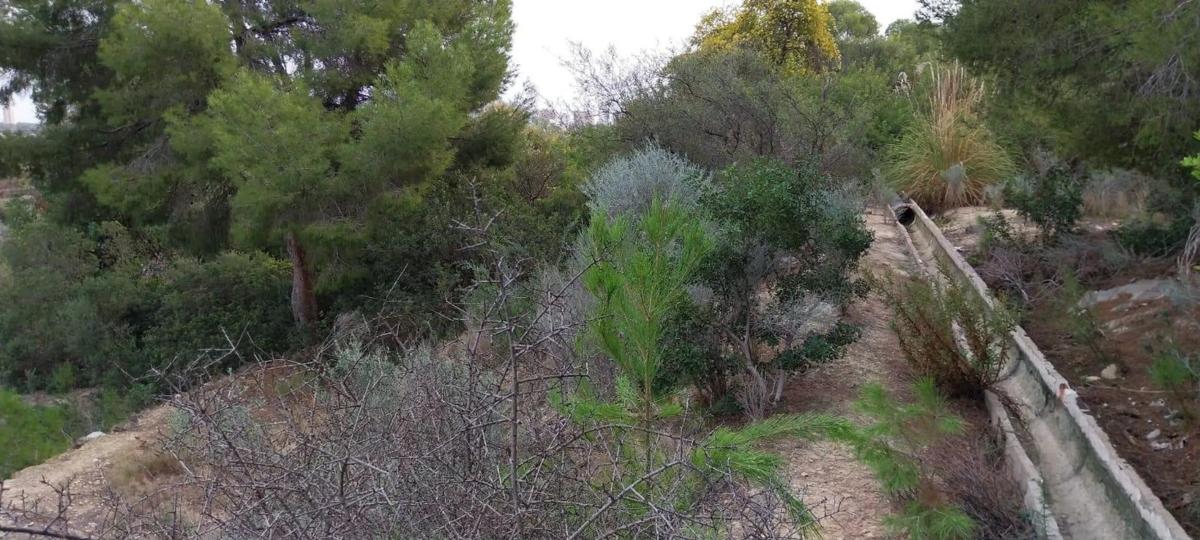 Terreno en venta en La Villajoyosa / Vila Joiosa, Alicante photo 3