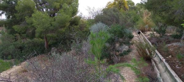Terreno en Platja de Torres thumbnail 2