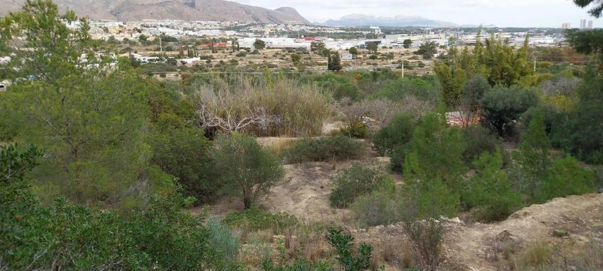 Terreno en venta en La Villajoyosa / Vila Joiosa, Alicante photo 4
