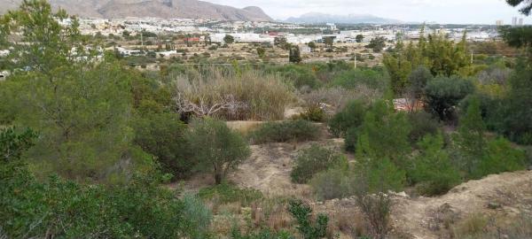 Terreno en Platja de Torres photo 4