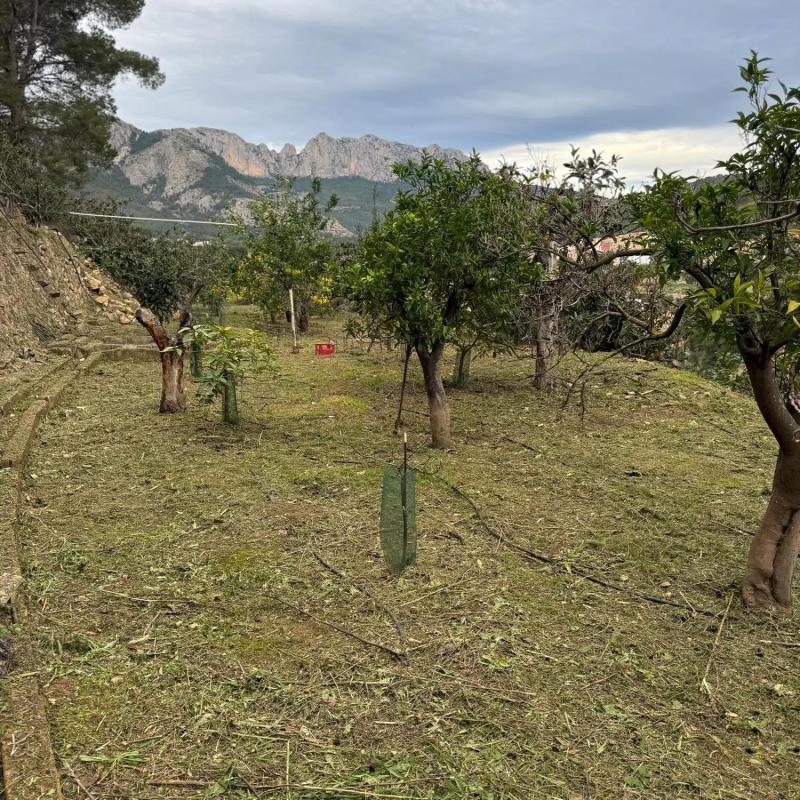 Land for sale in Polop, Alicante photo 5