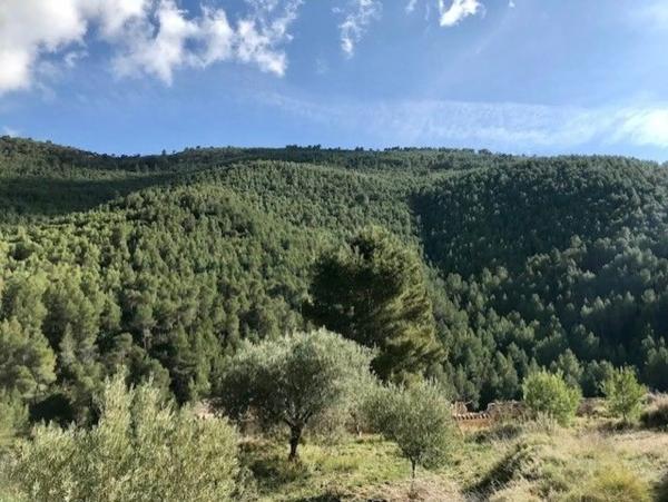 Terreno en solana de tagarina, km 5 photo 1