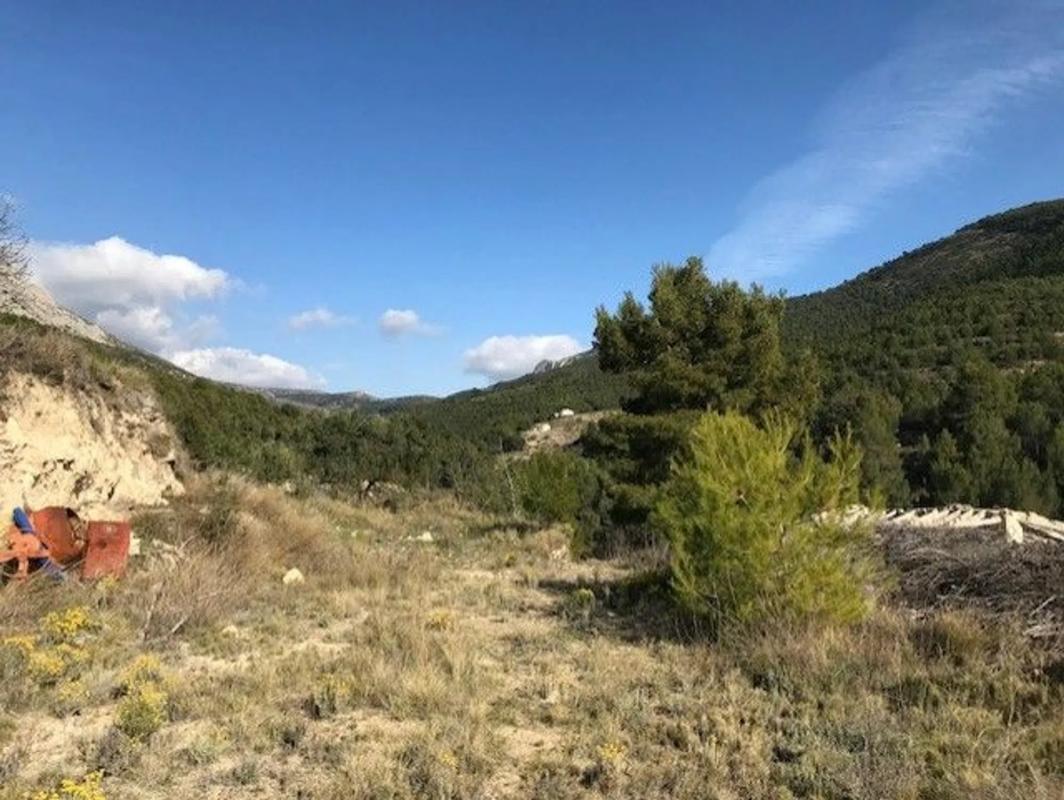 Terreno en venta en Sella, Alicante photo 5