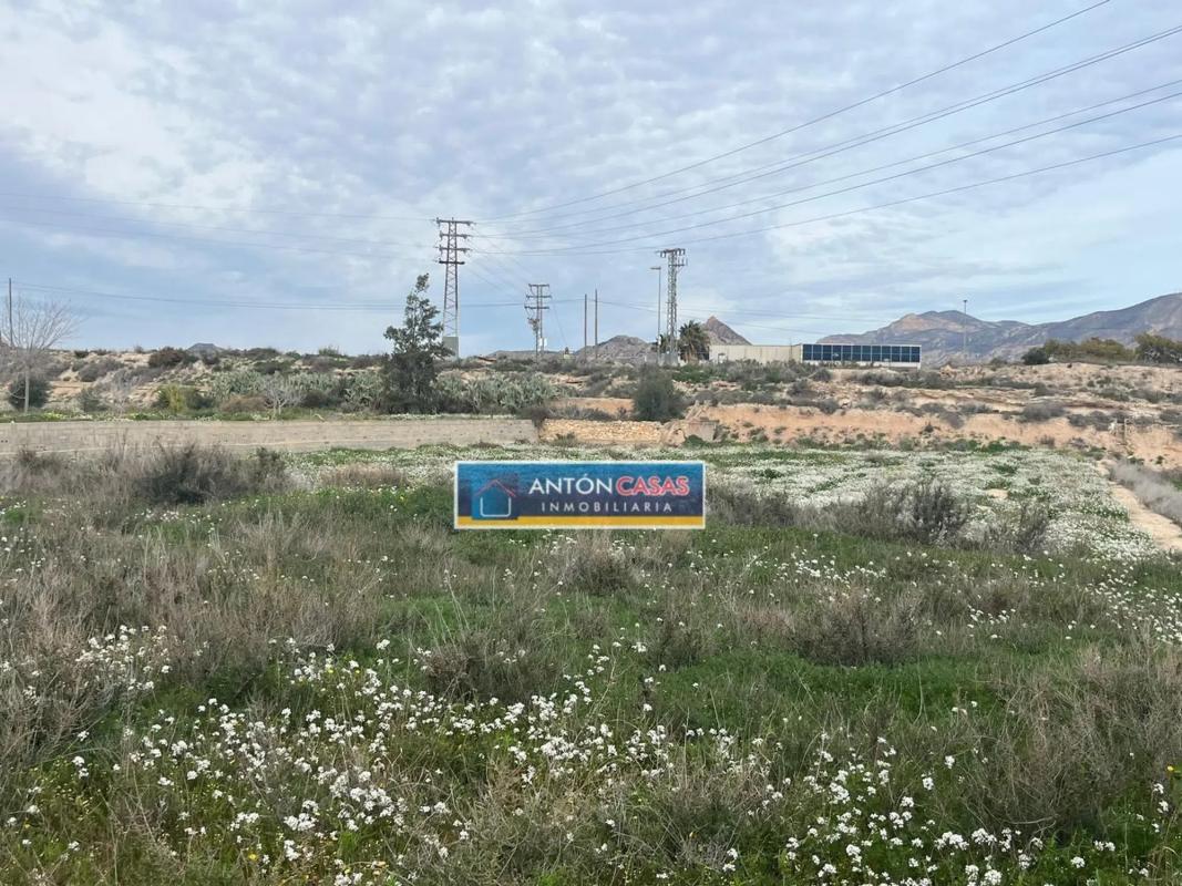 Land for sale in Novelda, Alicante photo 2