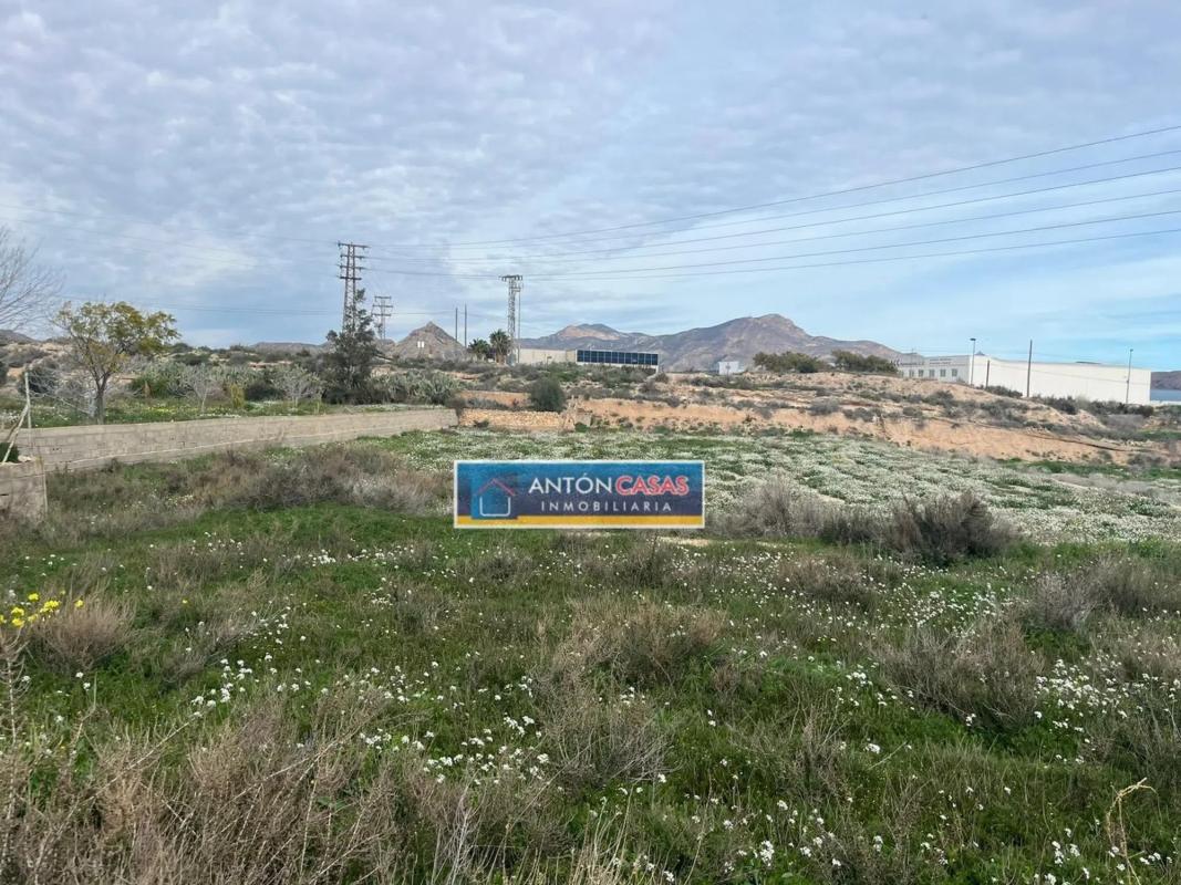 Land for sale in Novelda, Alicante photo 3