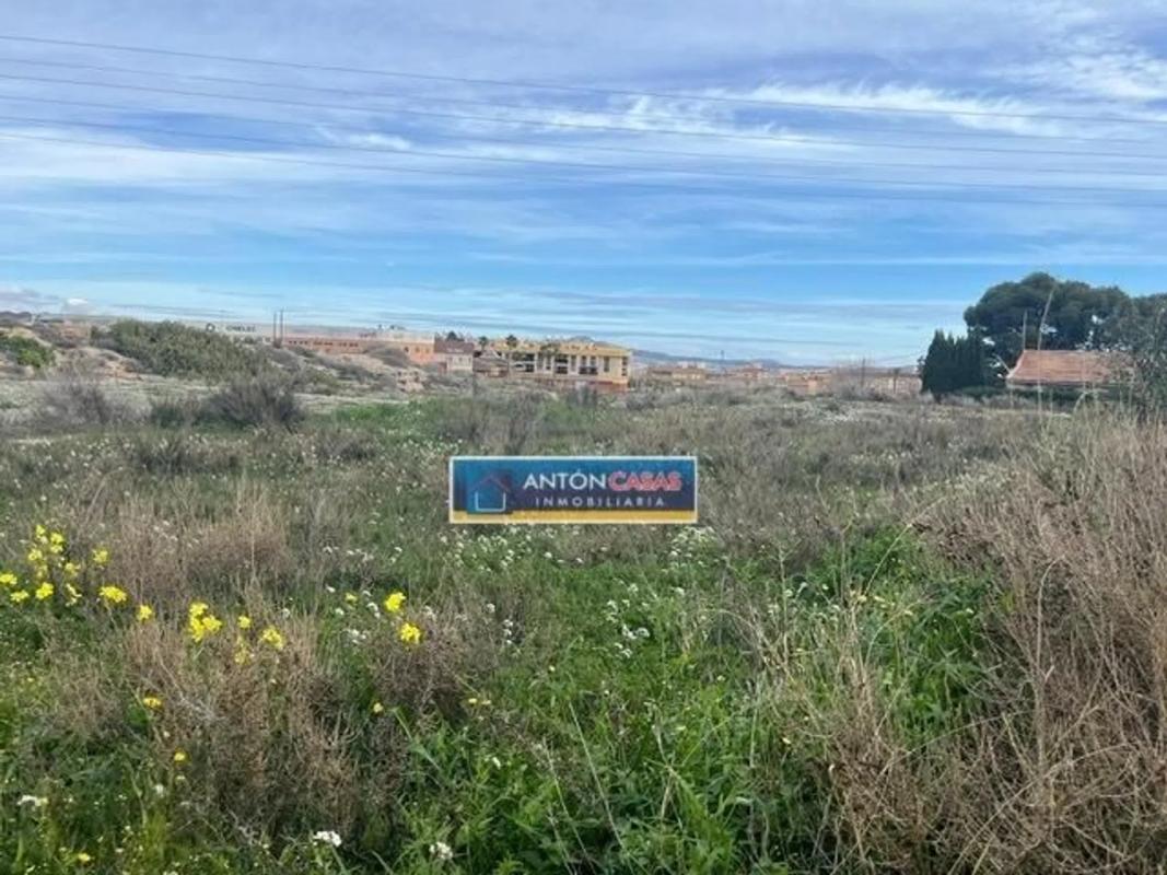 Land for sale in Novelda, Alicante photo 4