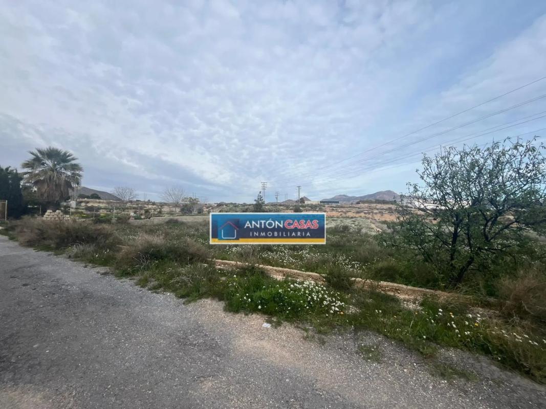 Land for sale in Novelda, Alicante photo 5