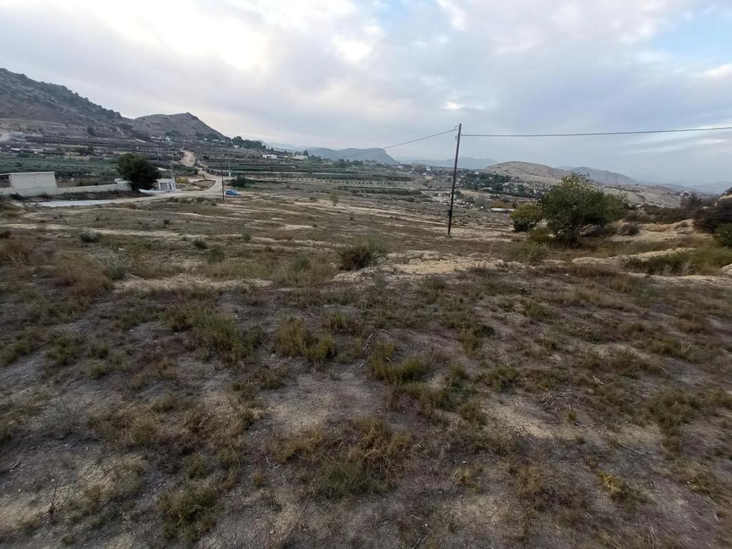 Działka na sprzedaż w Aspe, Alicante photo 4
