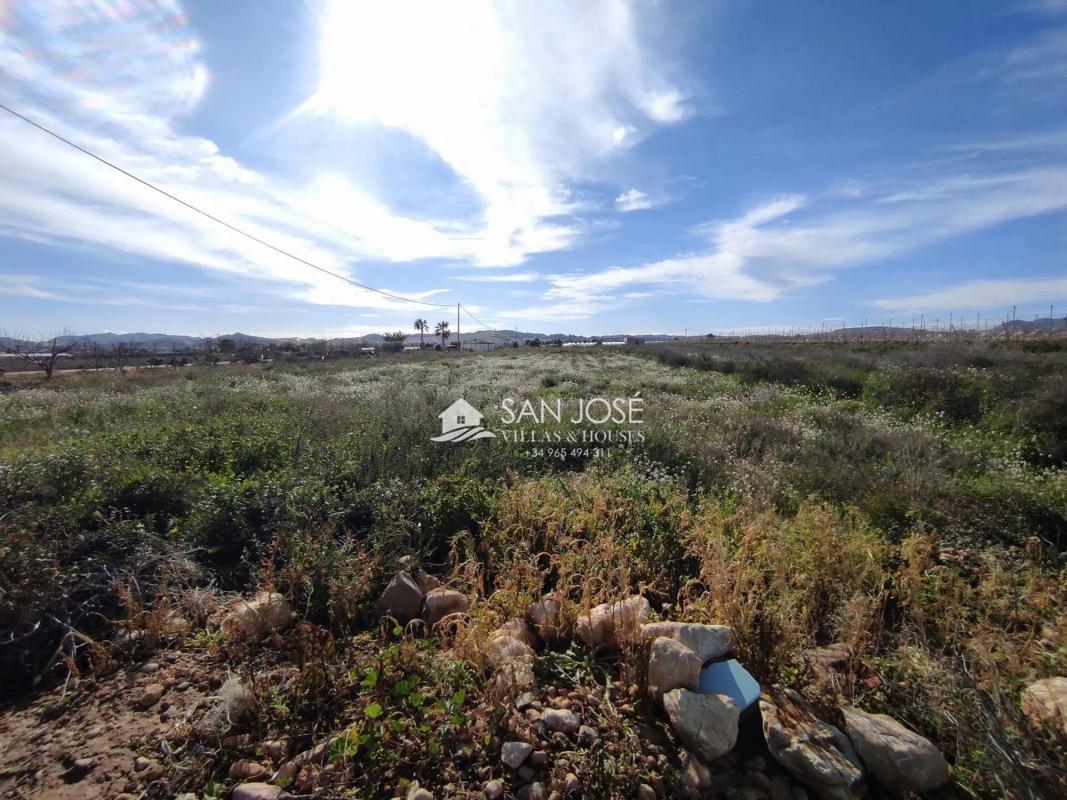 Land for sale in Novelda, Alicante photo 1