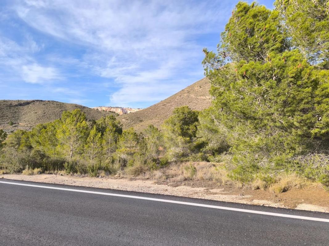 Terreno en venta en Algueña, Alicante photo 1