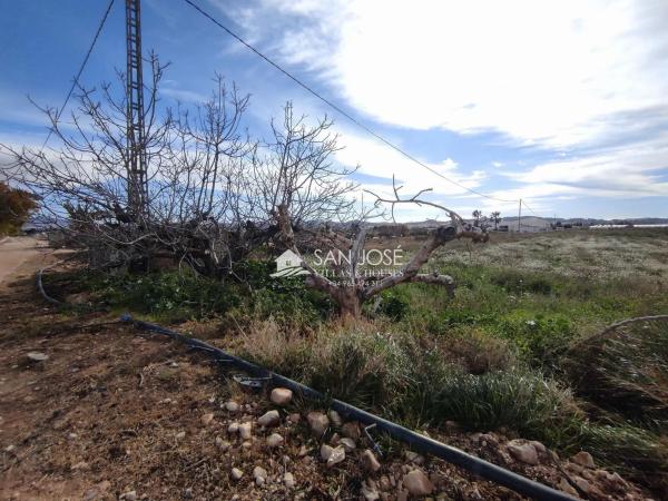 Terreno en Novelda photo 3