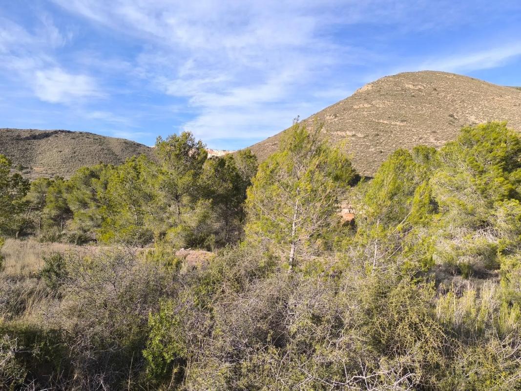 Terreno en venta en Algueña, Alicante photo 2