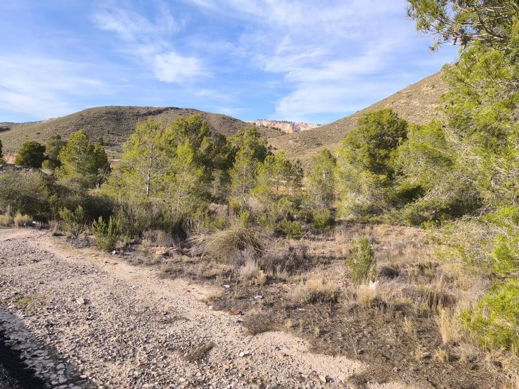 Terreno en venta en Algueña, Alicante photo 4