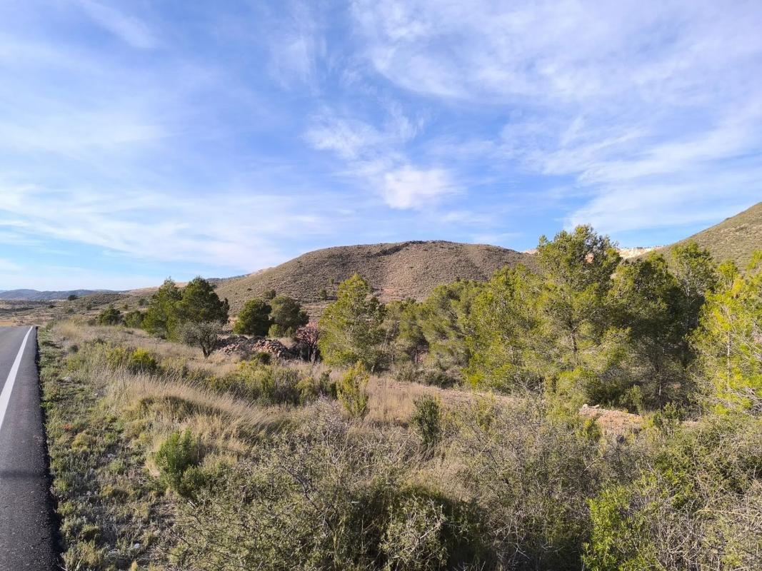 Terreno en venta en Algueña, Alicante photo 5