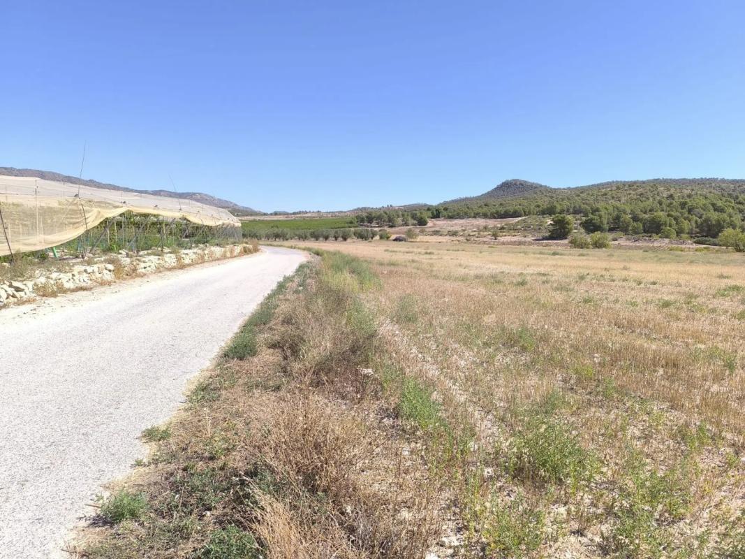 Land for sale in Novelda, Alicante photo 2