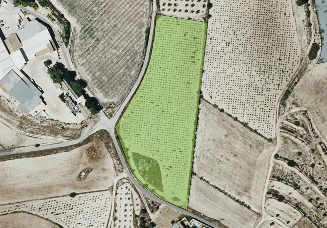 Land for sale in Novelda, Alicante photo 4