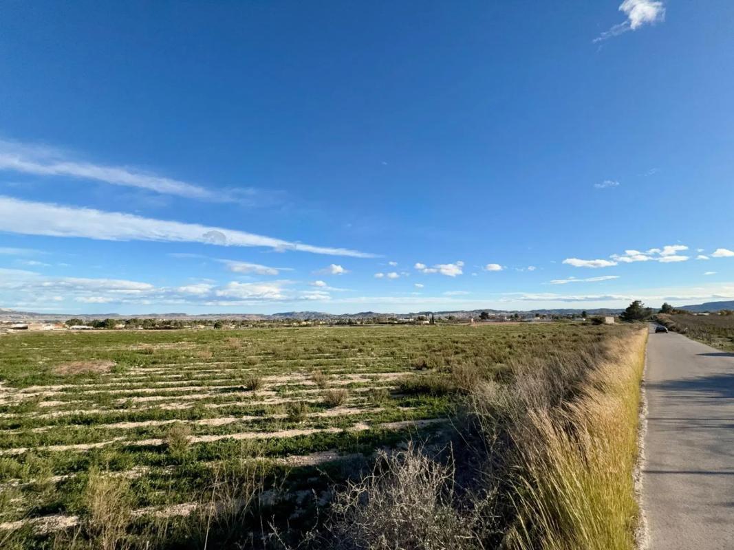 Land for sale in Novelda, Alicante photo 4