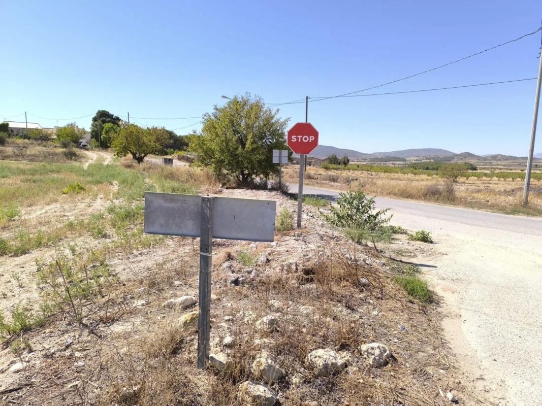 Land for sale in Novelda, Alicante photo 5