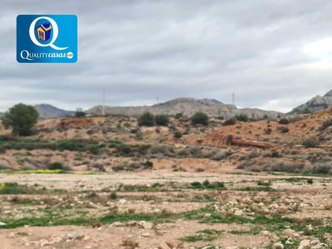 Land for sale in Novelda, Alicante photo 2