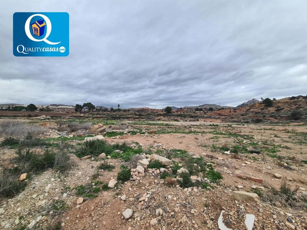 Land for sale in Novelda, Alicante photo 3