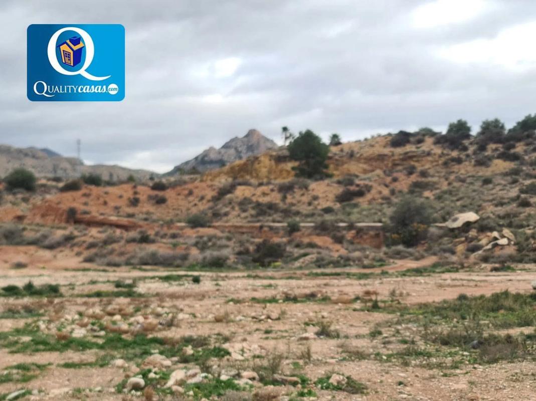 Land for sale in Novelda, Alicante photo 4