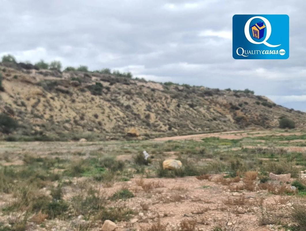 Land for sale in Novelda, Alicante photo 5